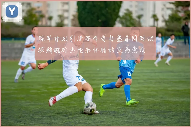 绿军计划引进字母哥与墨菲同时试探鹈鹕对杰伦和怀特的交易意向