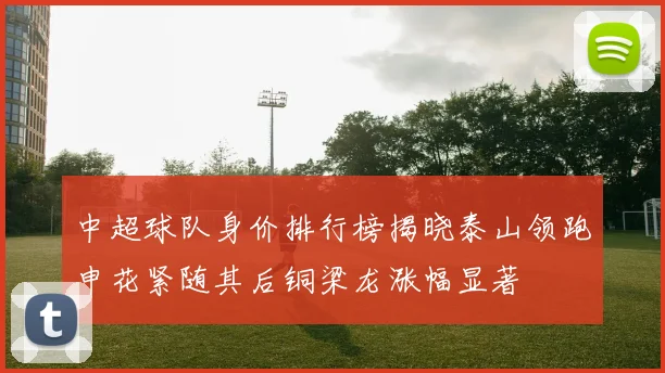 中超球队身价排行榜揭晓泰山领跑申花紧随其后铜梁龙涨幅显著